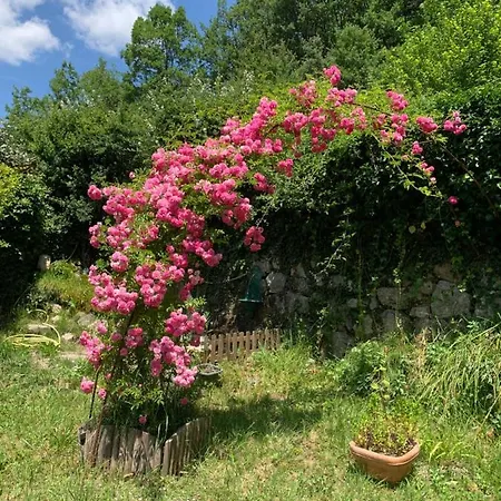 La Moutiere Maison De *